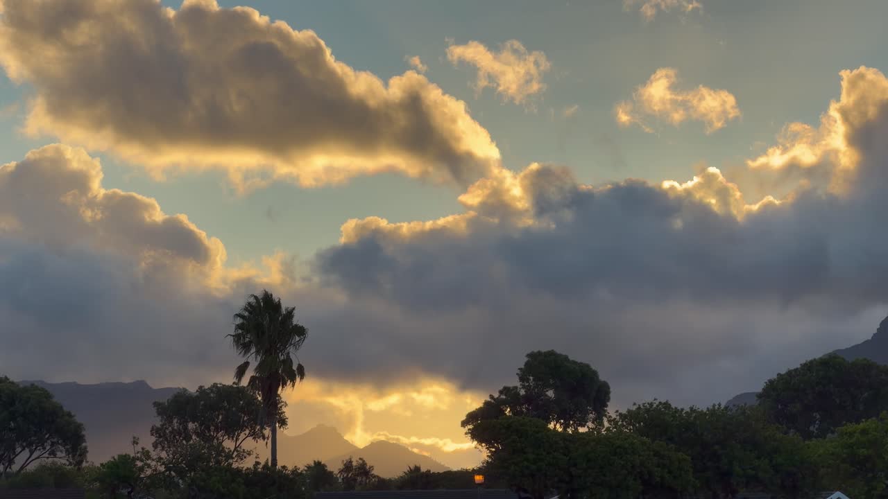 Un grupo de árboles con el fondo de nubes y el sol brillando.