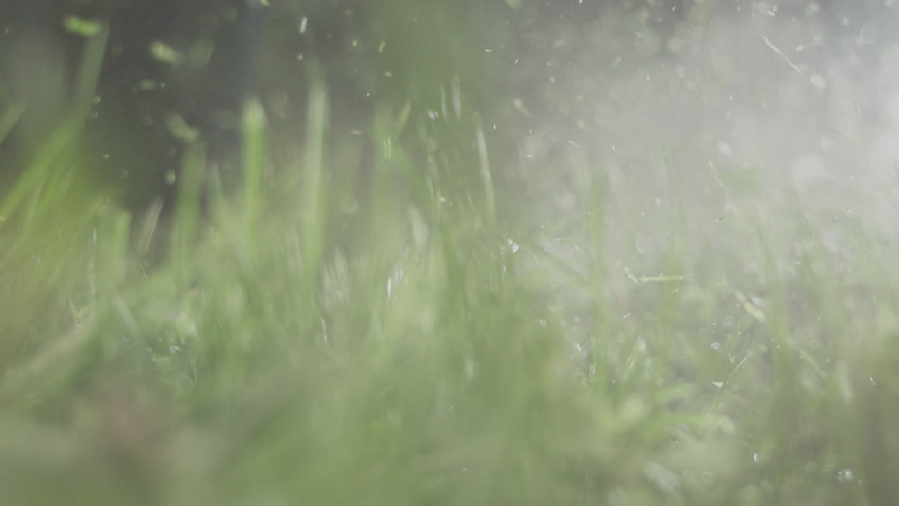 primer plano de la hierba que se corta