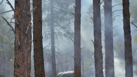 Olas-De-Calor-Y-Humo-Durante-Un-Incendio-Forestal