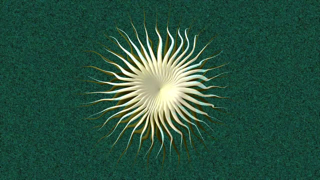 fondo abstracto estilizado estrella psicodélica