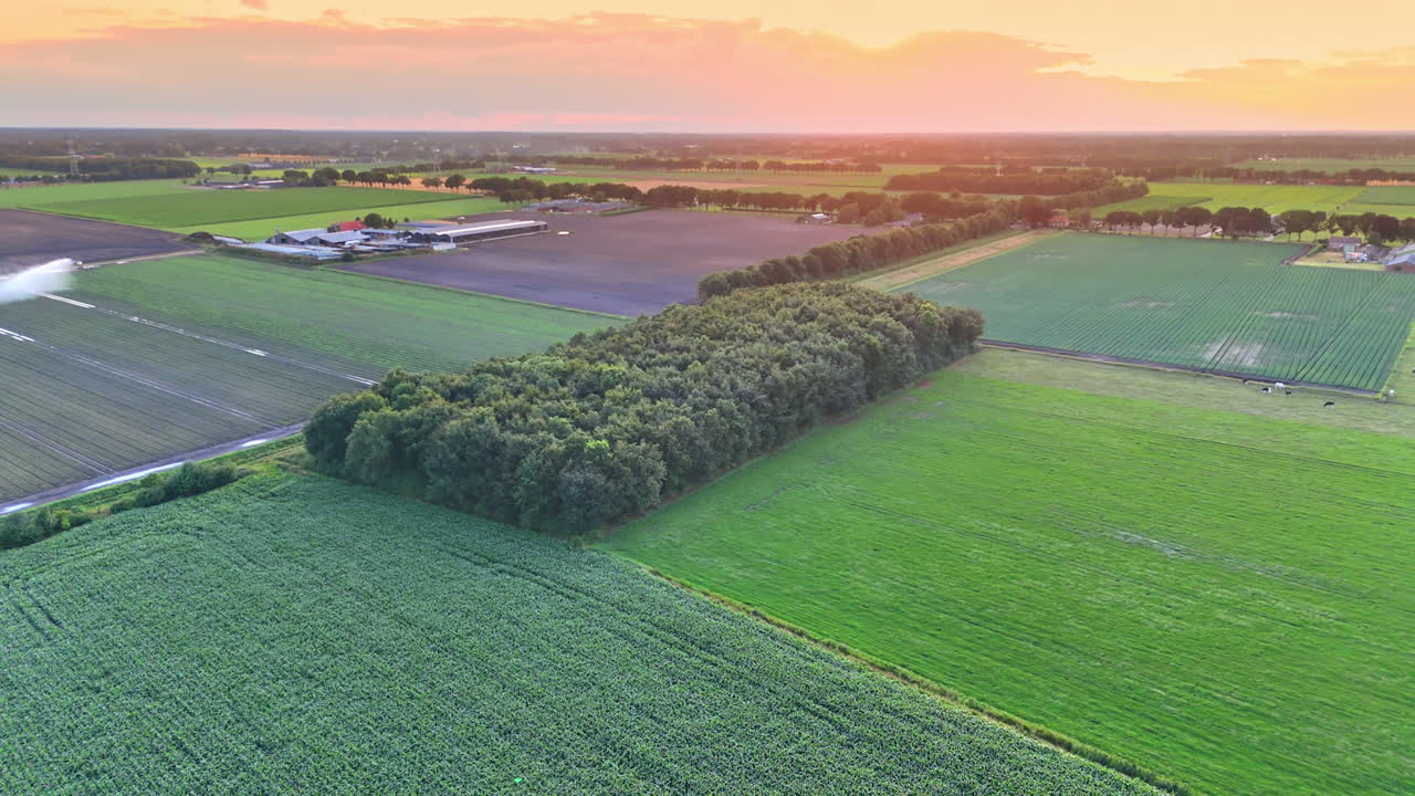 Sunset over fertile farmland landscape. Vibrant sunset casts warm hues over fields, with crops growing and a tree line marking the farmland's boundary