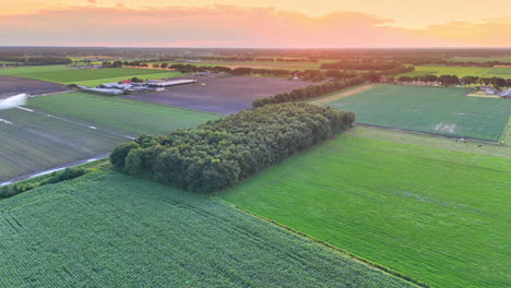 sunset over fertile farmland landscape. vibrant sunset casts warm hues over fields, with crops growing and a tree line marking the farmland's boundary