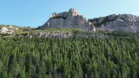 Mountain-Peak-in-Evergreen-Forest-Vertigo-Effect