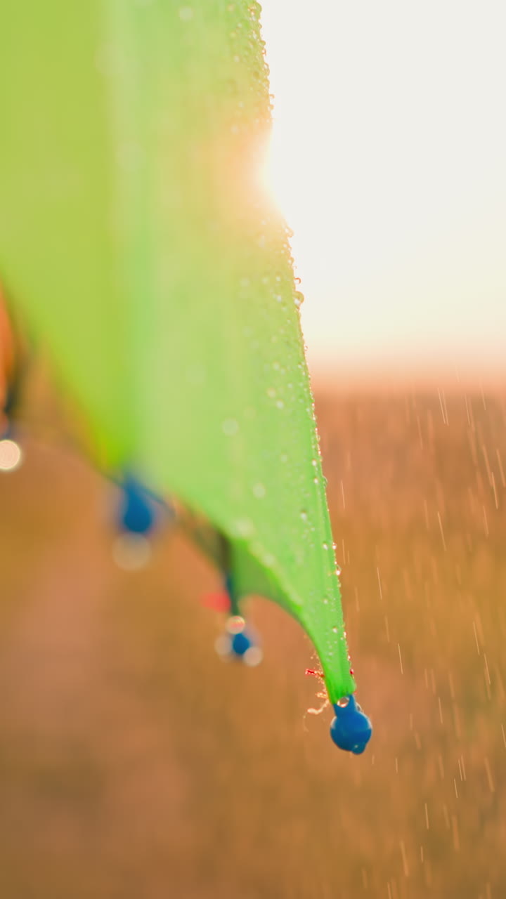 las gotas de lluvia caen por el borde del paraguas. la sombrilla libera una suave corriente de gotas de pluvia creando una fascinante danza de agua y luz en un campo tranquilo.