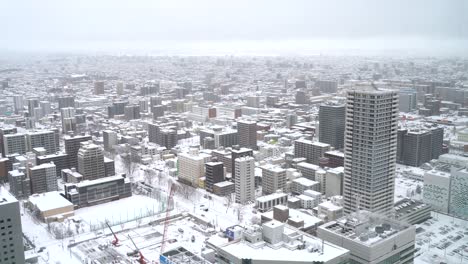 wide open area of snowy sapporo in hokkaido during cloudy day