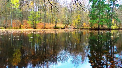 Naturaleza-De-Otoño,-Paisaje-De-Lago-De-Bosque-Danés,-Lapso-De-Tiempo-De-Movimiento-De-Agua