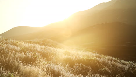 Sunset-over-the-Valley-Fields