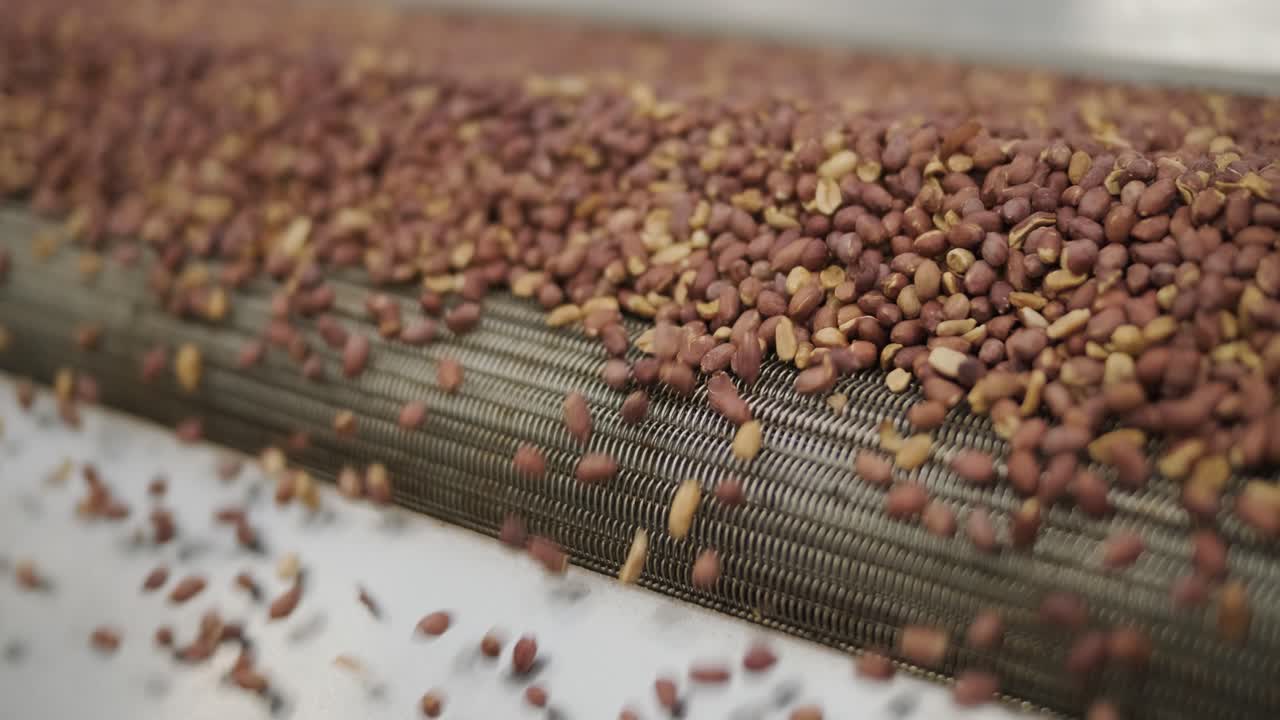 Raw nuts on a conveyor belt. Drying, roasting and packaging, the production process of light snacks. Factory production.
