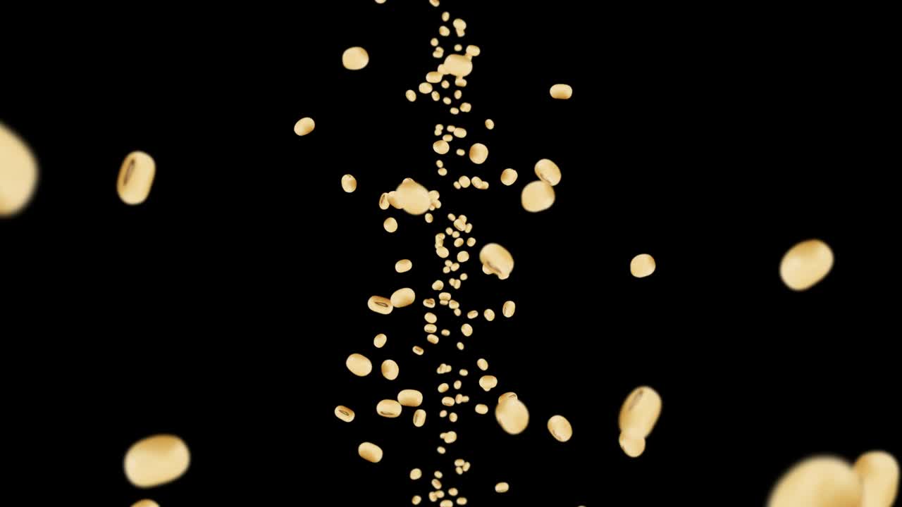 검은색 바탕에 많은 콩을 날아. 밝은 갈색 곡물. 콩과 콩. 건강한 음식. 회전하는 콩의 3d 루프 애니메이션.