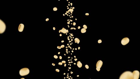 volando muchas soja en fondo negro. granos marrones claros. soja y soja. comida saludable. animación de bucle 3d de soja girando.