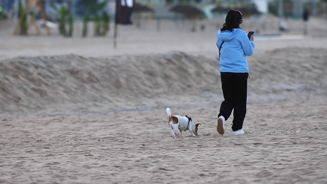 행복한 젊은 여성은 일몰에 물가에서 미용견과 조깅하기 전에 음악을 듣습니다.