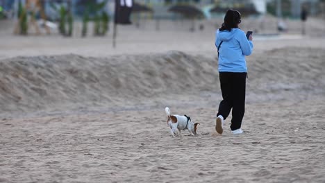 happy young woman listens to music before jogging with her beauty dog, at sunset by the water