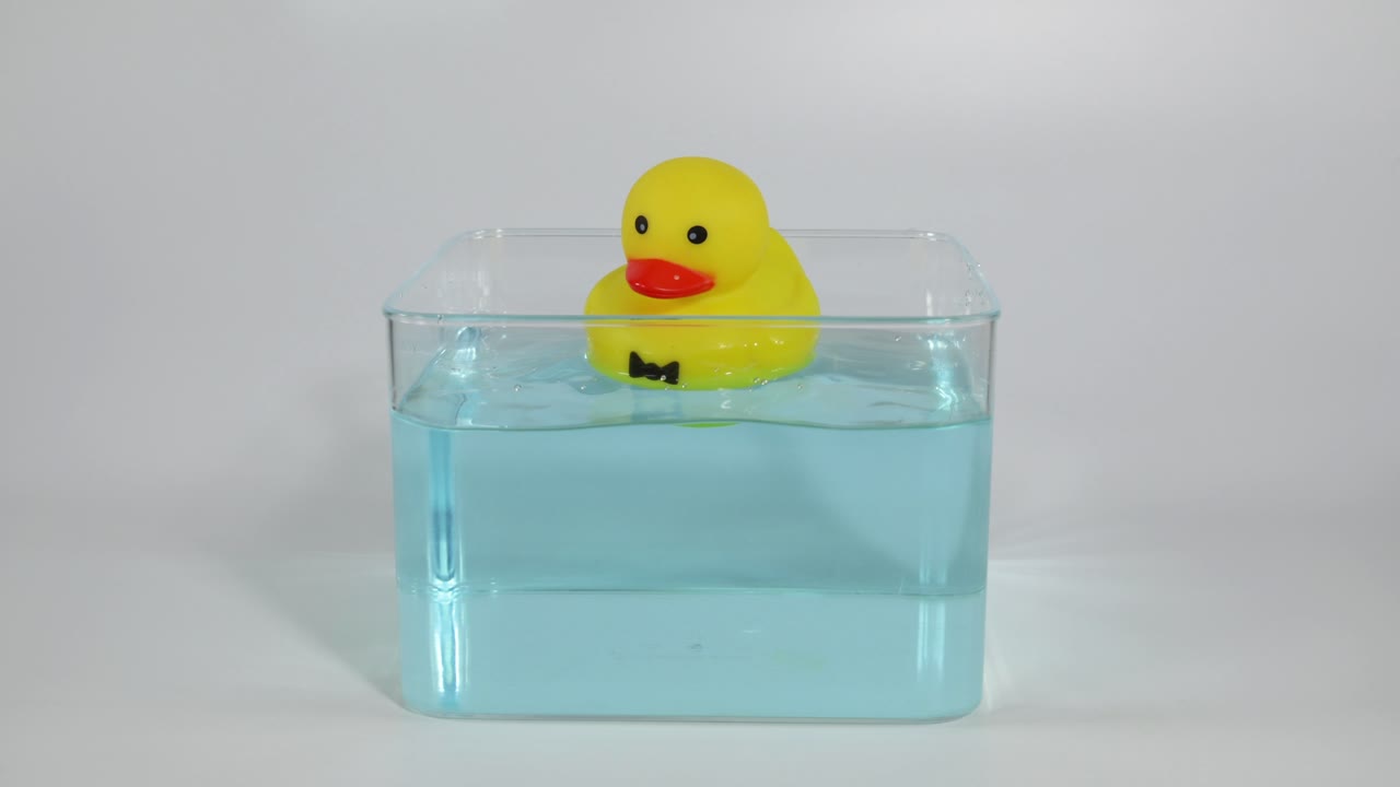 고무 오리 가 은 물 크 에 놓여 떠 있다
