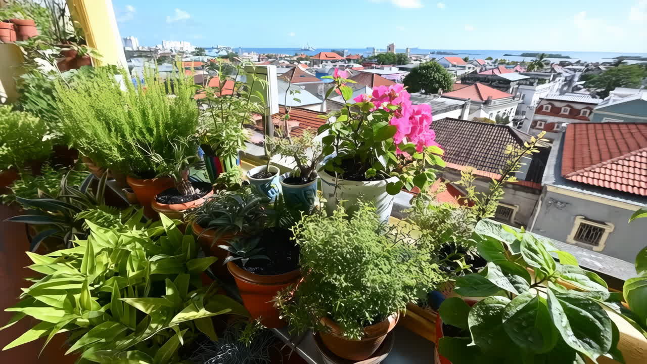 Balcony Garden with City View