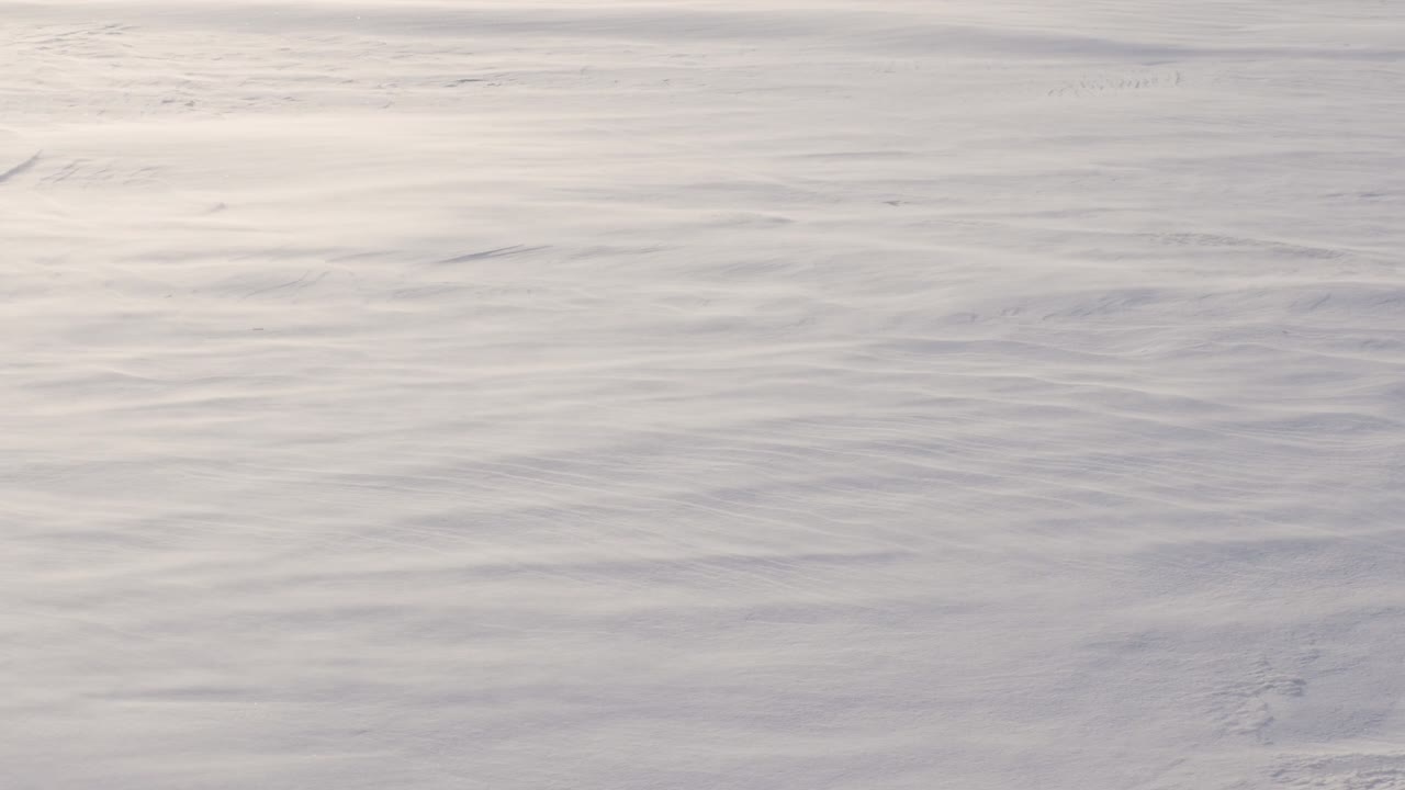 눈 폭풍이 도로를 쓸고, 아름다운 색의 겨울, 겨울의 추운 프레임.