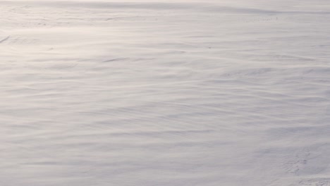 la tormenta de nieve arrastra el camino, el hermoso invierno blanco como la nieve, los marcos del frío del invierno.