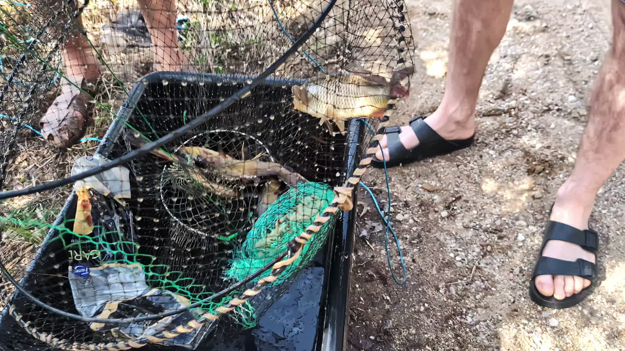 Traditional fishing practices in Cesis, Latvia