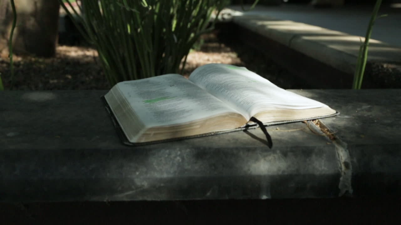 Holy Book Page Turning in Nature : Slow Motion