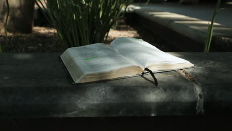 holy book page turning in nature : slow motion