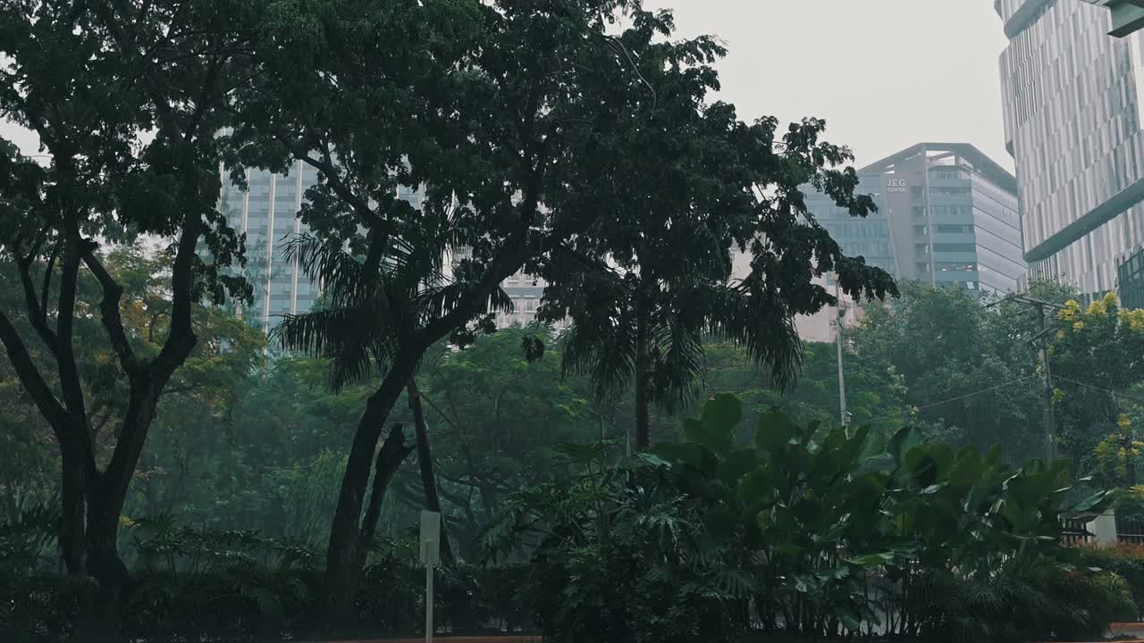 tormenta de lluvia tropical cayendo sobre el follaje en una escena urbana a nivel de la calle de la ciudad de cebu - filipinas