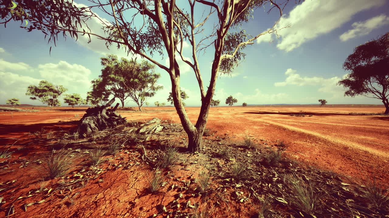 Desert landscape under vast skies showcasing natures raw beauty and solitude