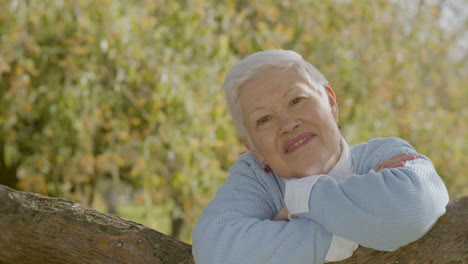 Portrait-Shot-Of-Happy-Senior-Woman-Leaning-On-Tree-Branch,-Smiling-And-Looking-At-Camera-While-Spending-Time-In-Park-On-Sunny-Autumn-Day