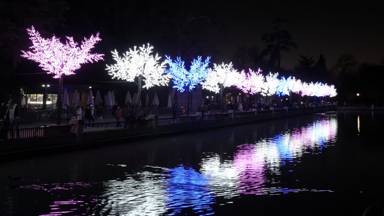 Trees illuminated with coloured LEDs on the water's edge with their reflection on a dark night in Retiro Park, Madrid.