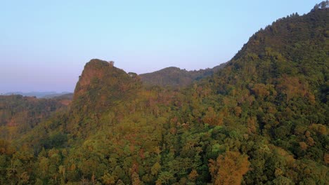 Beautiful-aerial-shot-of-Indonesian-forest,-morning-view