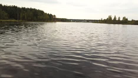 serene lakeside scenery