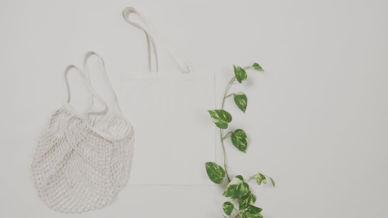 색 배경에 색 가방과 녹색 식물의 클로즈업, 복사 공간, 느린 동작