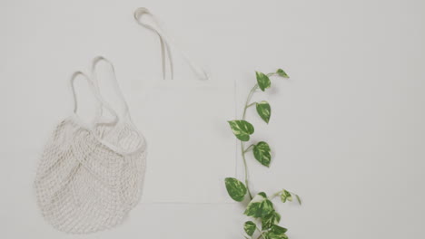 primer plano de bolsas blancas y planta verde sobre fondo blanco, con espacio de copia, cámara lenta