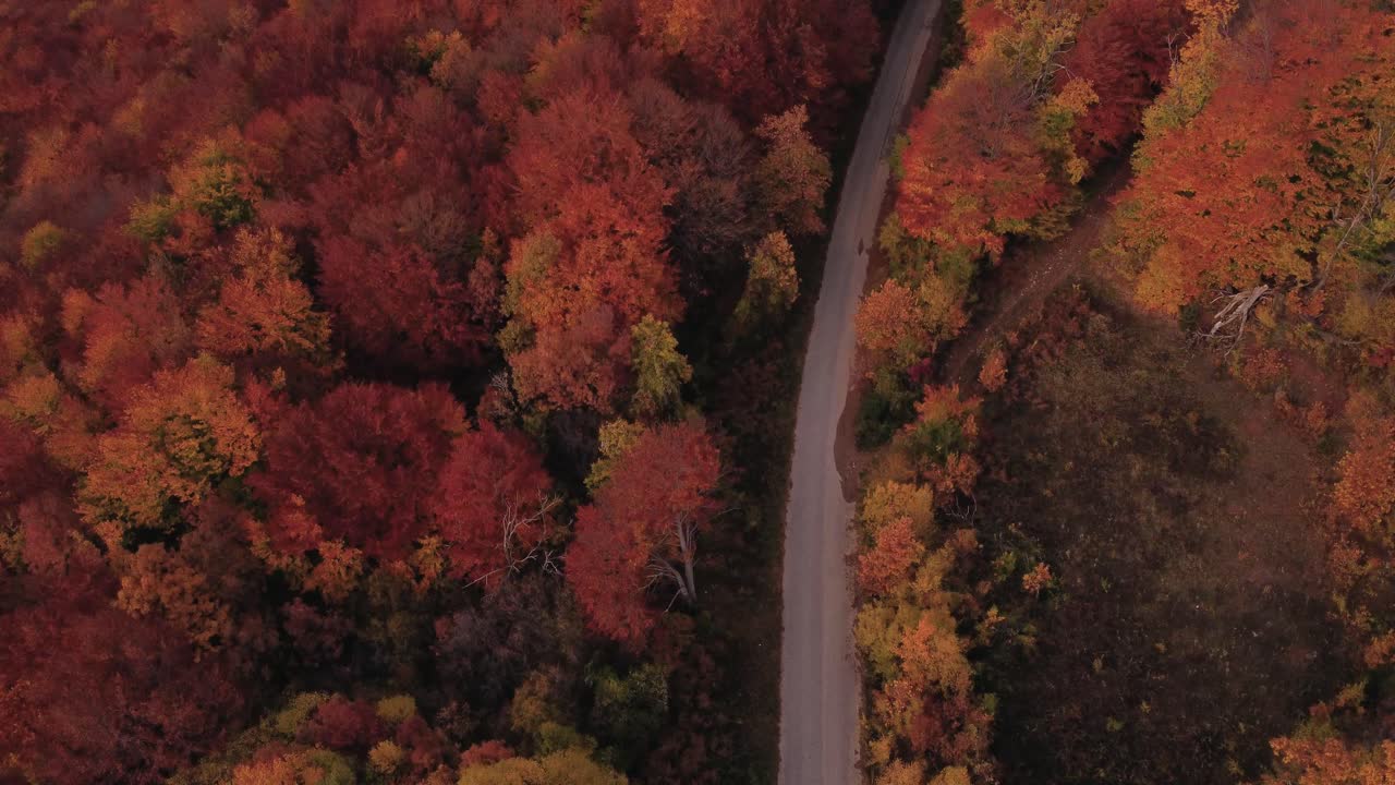 drone vuela sobre una carretera y un bosque en otoño