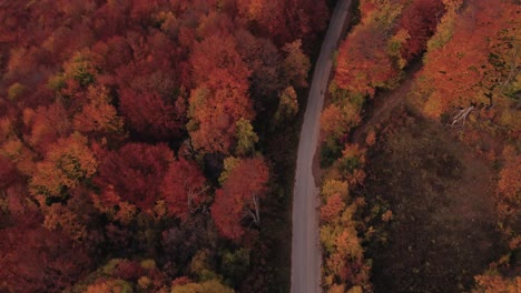 drone fly over a road and a forest at autumn