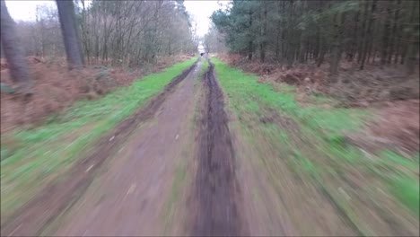 un dron volando alrededor de uno de los miles de bosques del reino unido