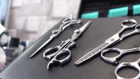 professional hair cutting scissors