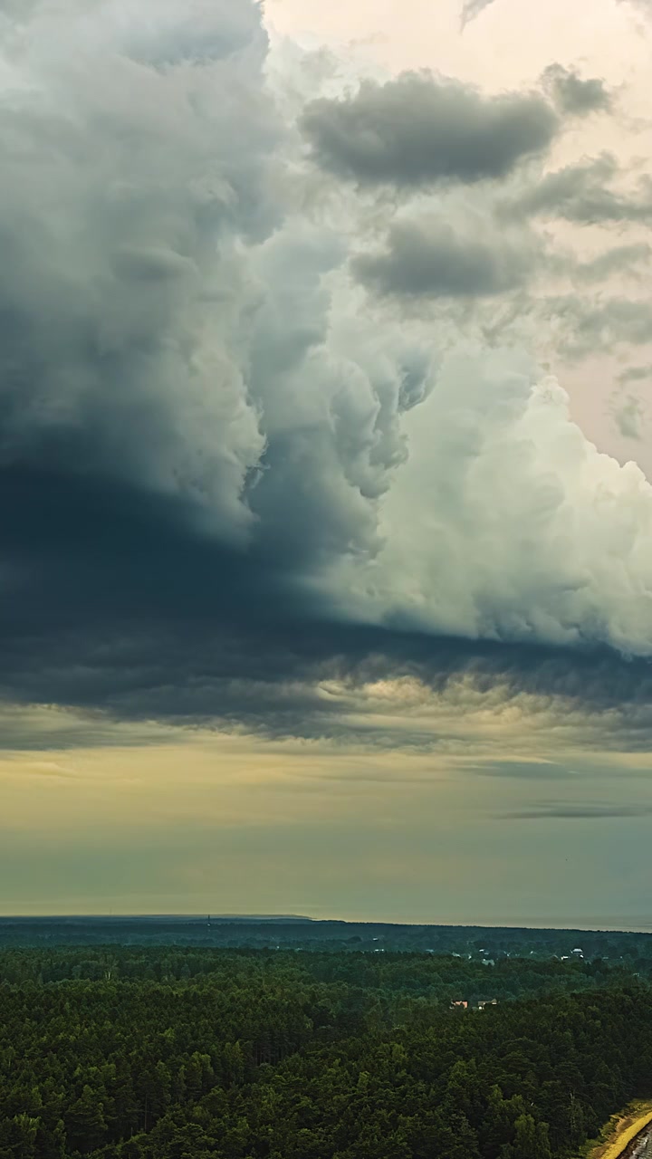 Dramatic storm clouds rapidly move over a dense green forest in late afternoon light