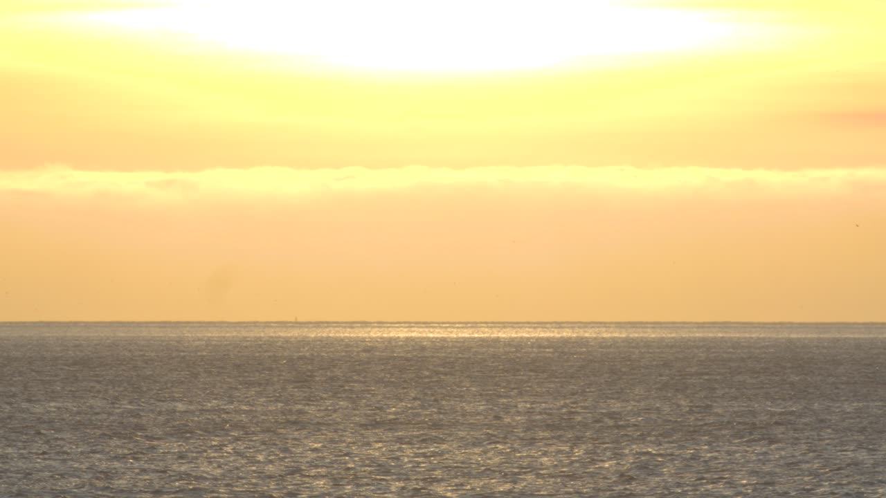 해질녘에 물을 가로지르는 일부 갈매기의 공중 전망