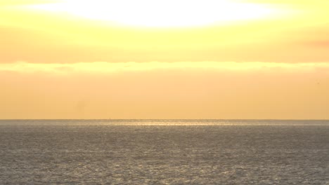 Vista-Aérea-De-Algunas-Gaviotas-Cruzando-El-Agua-Al-Atardecer