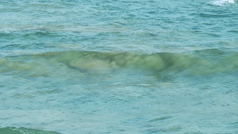 ocean waves moving rhythmically in melbourne, australia