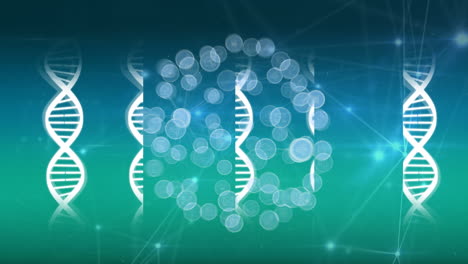 animación de la red de conexiones con iconos sobre cadenas de adn
