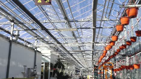 modern greenhouse interior featuring rows of hanging orange pots connected to an automated irrigation system, under a glass roof with natural sunlight.