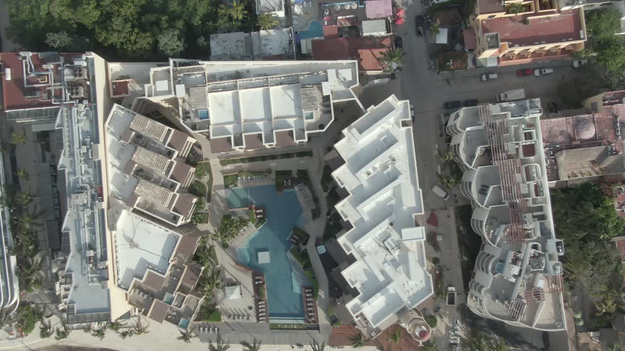 멕시코 플라야 델 카르멘 킨타나로오 해변의 sargassum algae 28