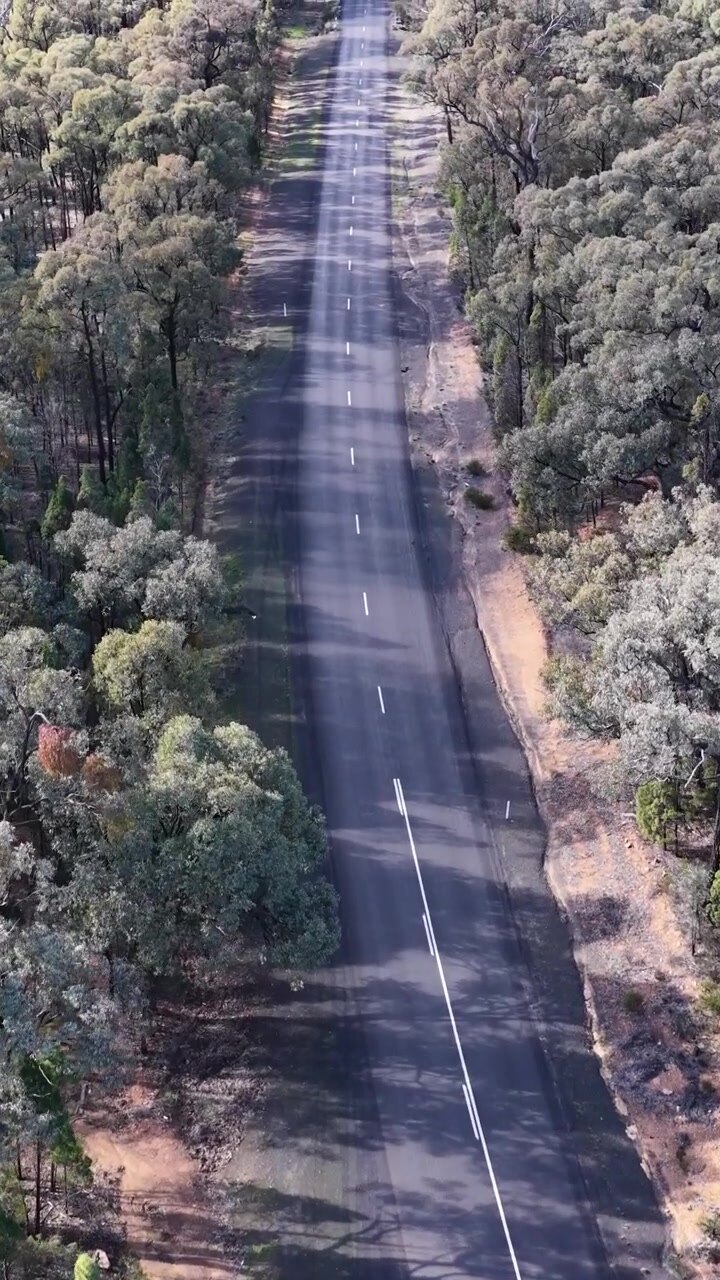 Ripresa aerea con drone di una strada di campagna dritta circondata da boscaglia australiana autoctona