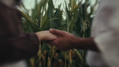 two people holding hands in a field