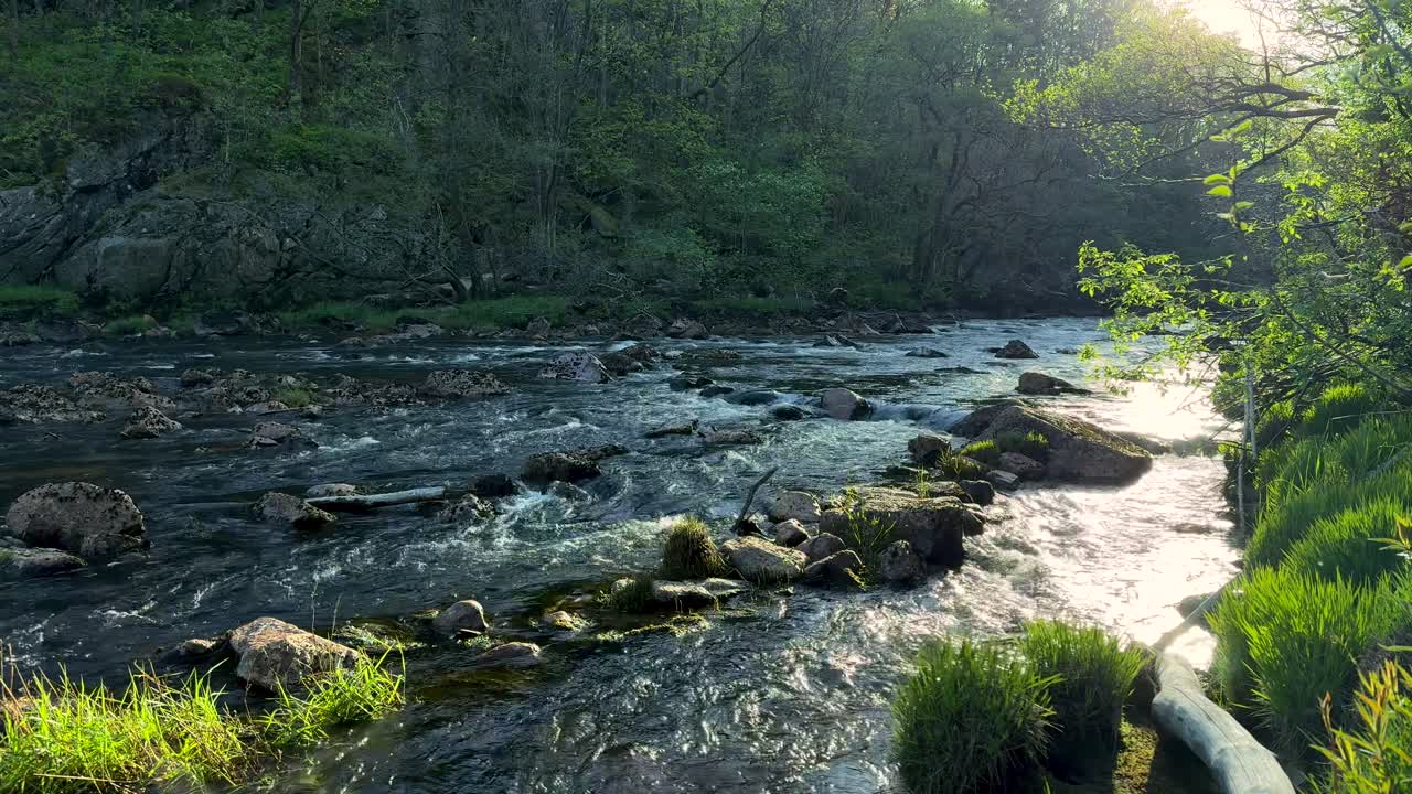 4K slowmotion-video af en smuk norsk flod om foråret