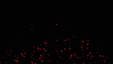 Realistic multicolored confetti gunshot popper explosions shooting falling green screen alpha