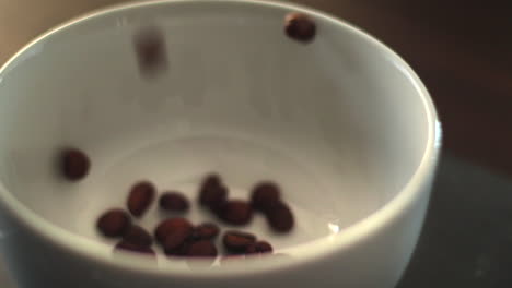 커피콩을 그릇에 붓는다