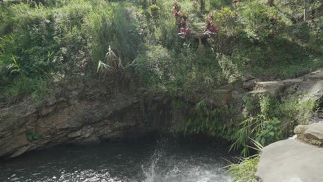 man jumps off cliff into tropical water