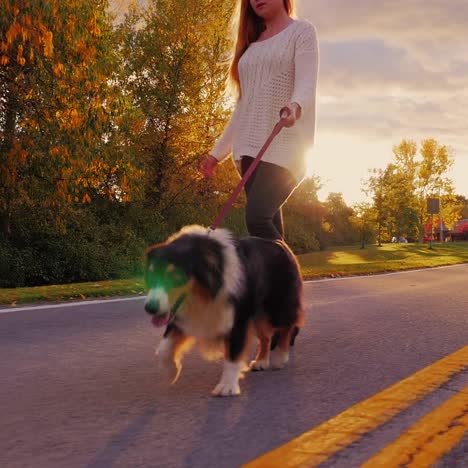 A-young-woman-walking-her-dog-at-sunset-by-a-lake-1