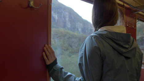 a woman standing on a train looking out the window at a beautiful mountain landscape in norway